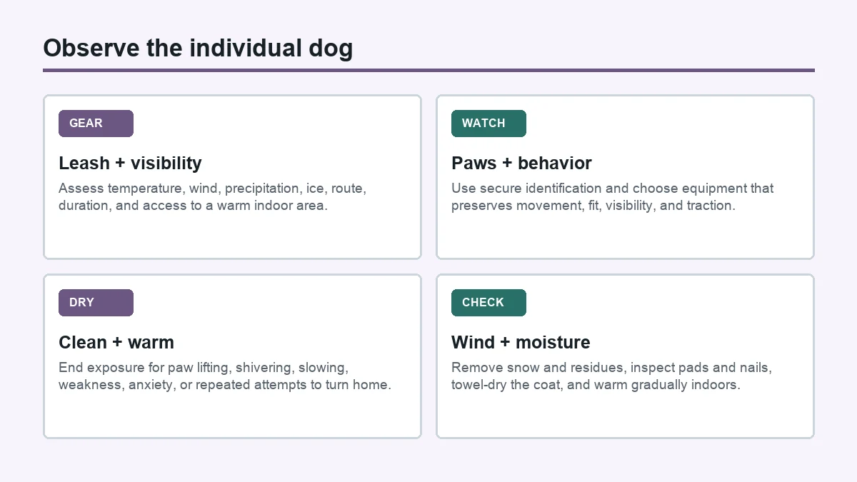 Run a before-walk check: practical Pomsky checklist diagram